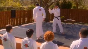 Кобра кай ястреб уходит из карате.