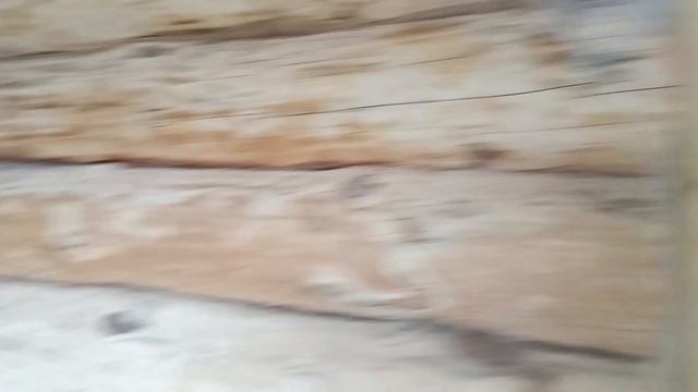 баня из бревна.печной подиум