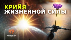 Крийя сворачивания и разворачивания энергии. Или еще ее называют "Крийя Жизненной Силы"