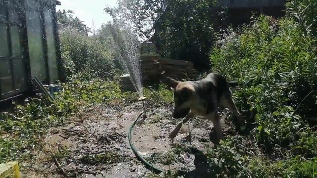 Как не умереть от жары 🥵