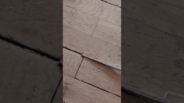 Ремонт паркета