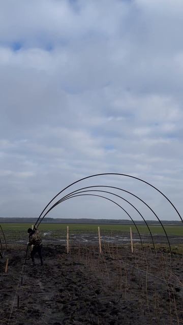 #малина #теплица #беларусь #клубника #пшехиба #брест #ми смотреть онлайн