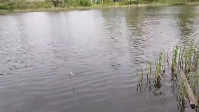 Душка на рыбалке