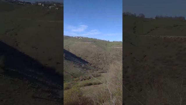 Цнал. Прогулки по холмам 3