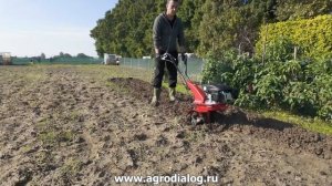 Бензиновый культиватор Eurosystems Z 2 RM