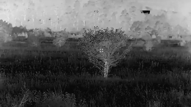 Тепловизионный монокуляр Sytong XS06-35LRF смотреть онлайн