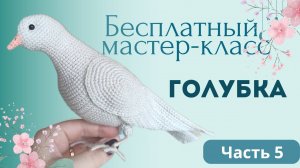 Голубь амигуруми крючком. Бесплатный мастер-класс по вязанию реалистичной птицы. Голубка крючком