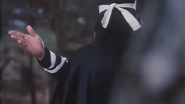 Хон Гиль Дон против ниндзя (Хон Гиль Дон / Hong kil dong, 1986) смотреть онлайн