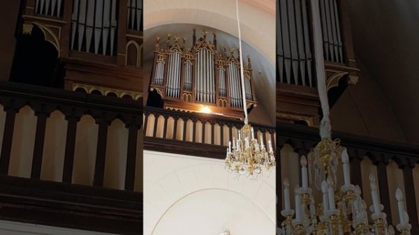 Концерт в храме Матери Божьей Лурдской, Санкт-Петербург, за органом Юлия Иконникова