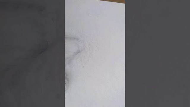 Снегоступы Forester