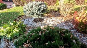 Аккумуляторный воздуходув Greenworks GD82ABII: обзор и тест