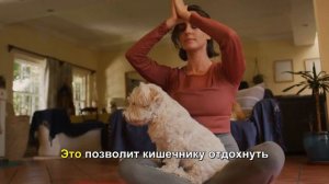 Как помочь собаке при диарее