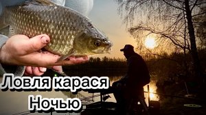 Ловля карася ночью ! Рыбалка весной ! Жор карася перед нерестом ! #рыбалка #карась