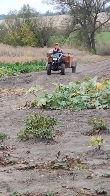 Мотоблок Зубр 🦬 Роботяги палець вверх 👍 #80smusic  #2024 #shor