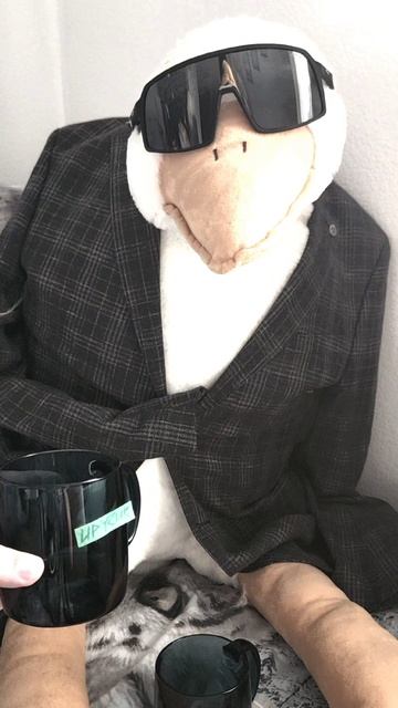 Как переехать к парню (БредаНет)