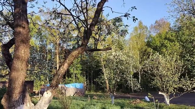 Обновили кухню в деревенском стиле | Основание для дет смотреть онлайн