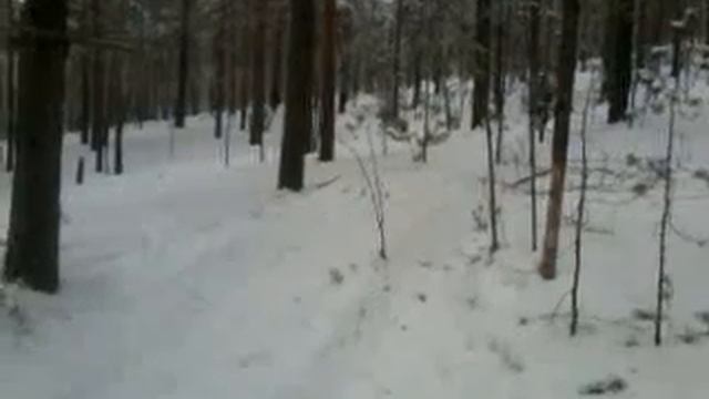 Прыжок на лыжах в лесу