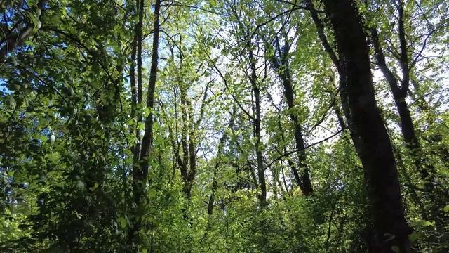 Трейлер: Уроки выживания - Зима в калининградской глуши