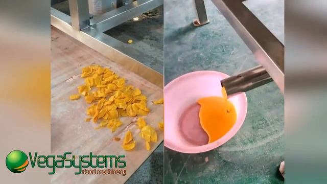 Протирочная машина для овощей и фруктов Vega JMIX H2500 смотреть онлайн