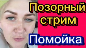 Обзор на стрим. Деревенский дневник.