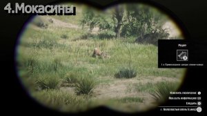 Гайд Как собрать костюм «Пастух» в RDR2  #RDR2 #Пастух #VimeRGame