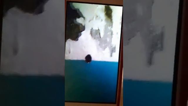 Казахстан город Актау смотреть онлайн