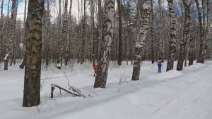 Ошибка сервисёра. Как подготовить лыжи мазью держания.