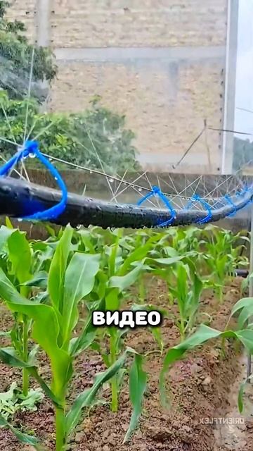 Как сделать автополив своими руками #ремонт #стройка #? смотреть онлайн