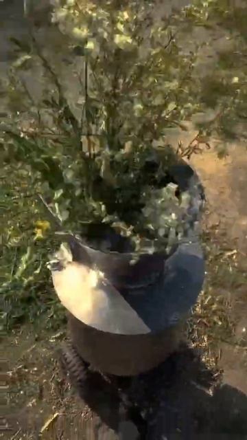 Траворізка, 2,2 кВт. Швидко подрібнює траву, солому. бур' смотреть онлайн