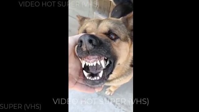 Почему мужчины живут меньше женщин