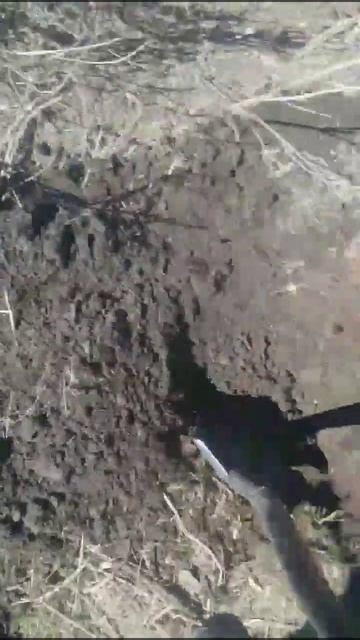 кто металлоискатель прет идет!Bounty hunter смотреть онлайн