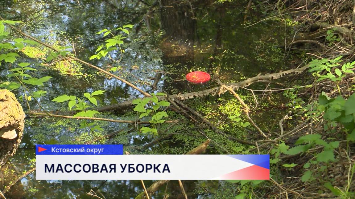 Экологическая акция прошла в Артемовских лугах в преддверии Дня Волги