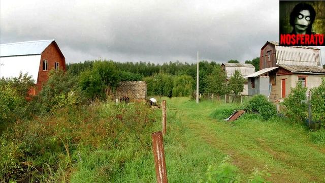 Телефонная будка. Страшные истории на ночь 🫣🫣🫣 смотреть онлайн