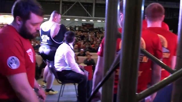 Элита Золотой Тигр 8