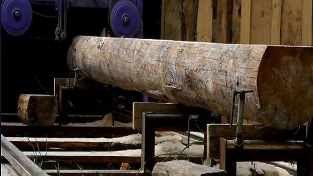 Ленточная пилорама на 220вольт. Процесс работы.