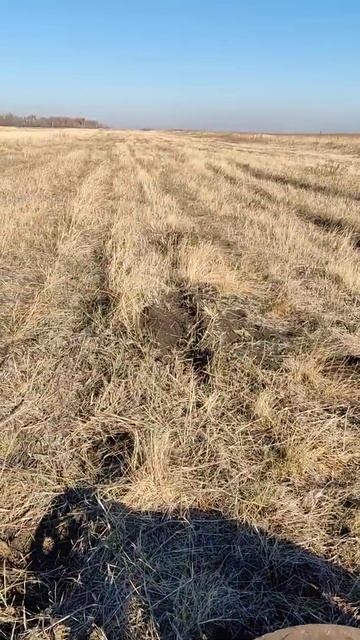 Нашел место для поиска металлолома.Коп металла #shorts смотреть онлайн