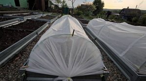 Как установить дуги, укрывной для грядок.