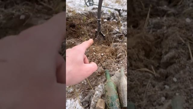 Белорусский коп #коп_по_войне #коп #metaldetecting #belarus #белар? смотреть онлайн