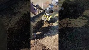 Культиватор Champion BC-4401