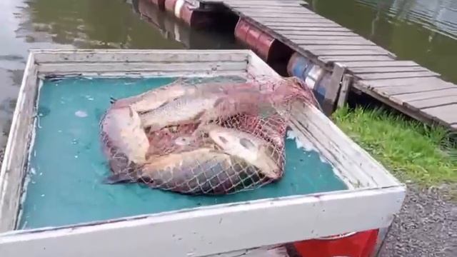 18.05.25 г. РК Волна смотреть онлайн