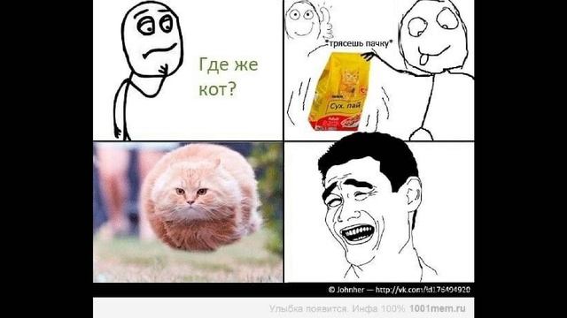 Мемы 1