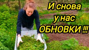 И СНОВА У НАС ОБНОВКИ | Новый друг лучше старых двух | Дом в деревне | Деревенская жизнь