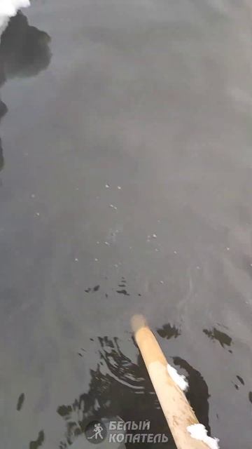 Находка с металлоискателем Minelab Manticore смотреть онлайн