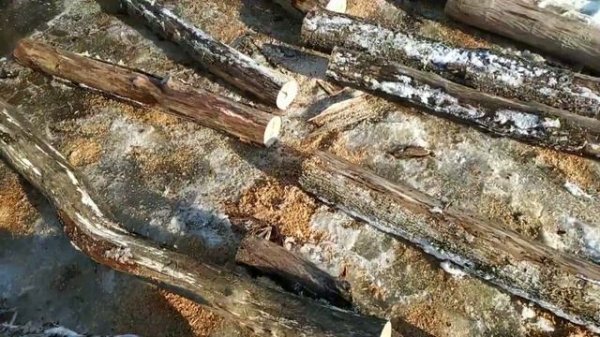 💥 Procraft PKA42Li: розчарування чи вдала покупка? 💥 💥 Пере?