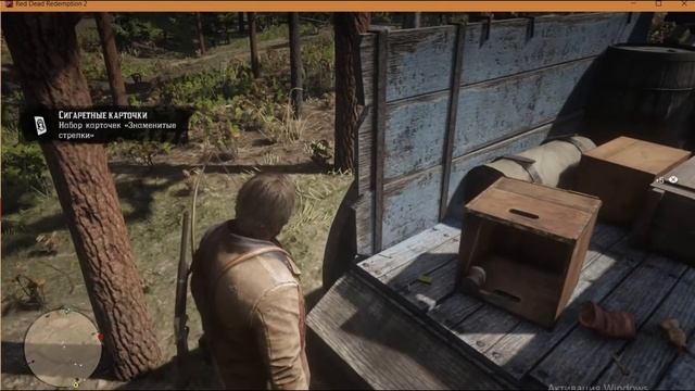 RED DEAD REDEMPTION 2  Прохождение 9  И снова банда Дриско