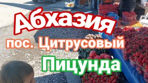 Абхазия, пос. Цитрусовый, Пицунда