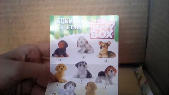 Распаковка Heppe Box мини щенки!