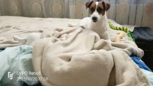 игры в бабайку под одеялом)))