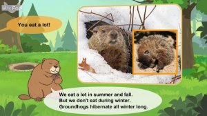Meet the Animals _ Groundhog🐿 _ Rodents _ Wildlife Animals _ Groundhog Day_ Kindergarten