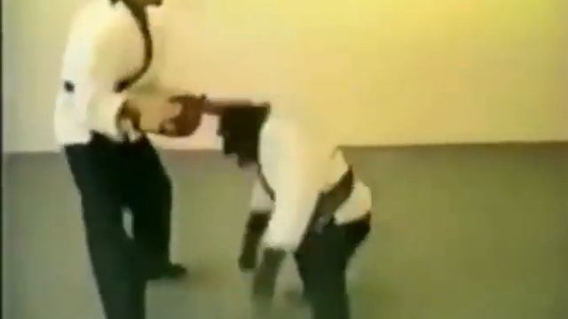 Кунг-фу обезьяна.